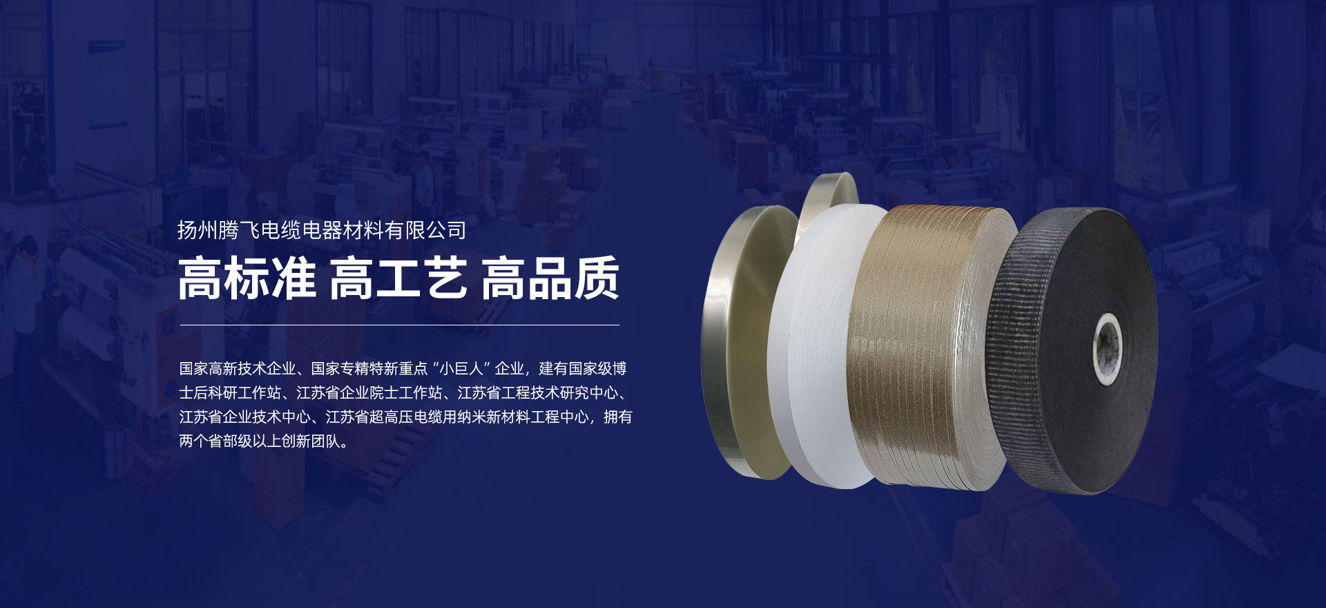 揚州騰飛電纜電器材料有限公司